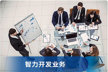 兩翼2360 兩翼2360